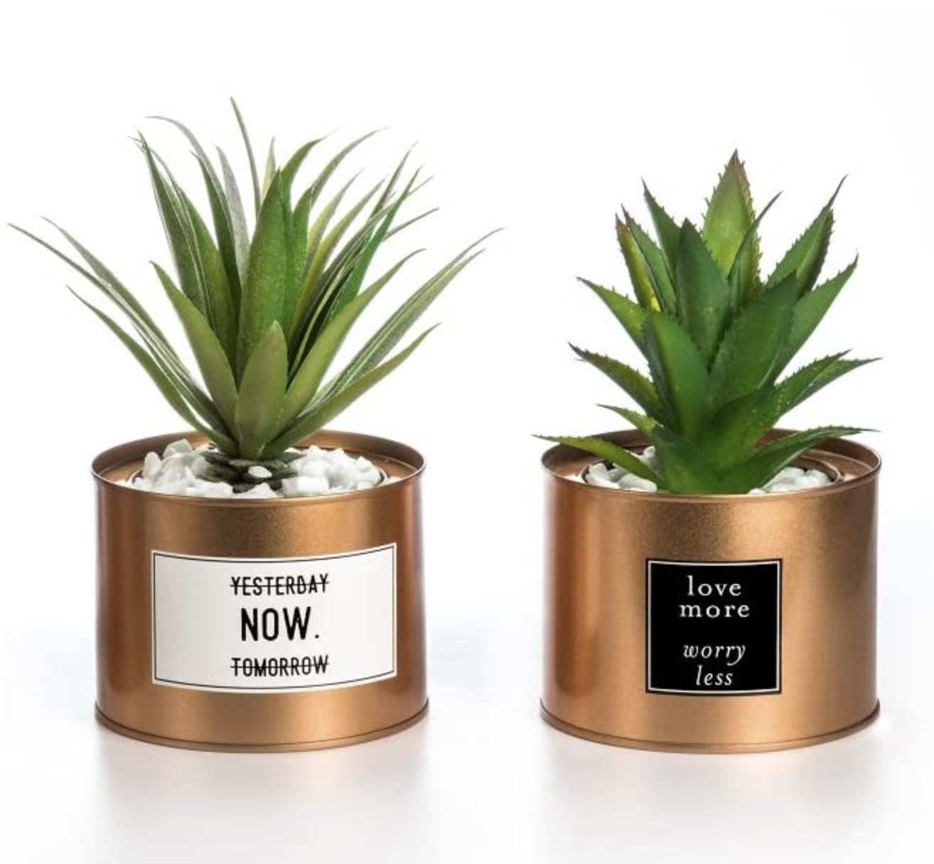 Home office essentials - plant